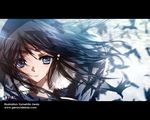  bird blue_eyes brown_hair gothic_princess_(idolmaster) idolmaster idolmaster_(classic) idolmaster_1 kisaragi_chihaya long_hair solo ueda_yumehito wallpaper 