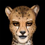  anthro cheetah cheetah_(character) dc_comics edit feline female headshot_portrait mammal photo_manipulation portrait realistic unknown_artist 