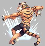 disney feline male mammal muscular stripper_tiger_(zootopia) theuselesstoe tiger zootopia 