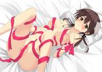  animal_ears bed blush brown_eyes brown_hair convenient_censoring dog_ears gertrud_barkhorn hair_ribbon highres looking_at_viewer lying naked_ribbon navel pillow ribbon solo strike_witches sweatdrop twintails urio_yusuke world_witches_series 