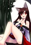  animal_ears ass bamboo bare_legs bare_shoulders breasts brooch brown_hair cleavage collarbone dress fangs full_moon highres imaizumi_kagerou jewelry large_breasts leg_lift legs long_hair long_sleeves looking_at_viewer moon off_shoulder open_mouth panties pantyshot pantyshot_(sitting) red_eyes sitting smile solo touhou underwear upskirt very_long_hair white_panties wide_sleeves wolf_ears wolflong 