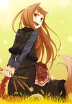 :d animal_ears arms_behind_back ayakura_juu blush brown_hair fang food holding holo long_hair looking_at_viewer looking_back official_art open_mouth pouch red_eyes skirt smile solo spice_and_wolf tail wheat wolf_ears wolf_tail yellow_background 