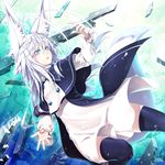  animal_ears blue_eyes fox_ears kentairui tail thighhighs white_hair 