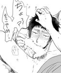  ace_of_diamond erection fellatio hand_on_head licking looking_at_viewer male_focus monochrome multiple_boys penis sucking white_background yaoi 