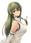  alternate_eye_color animal bad_id bad_pixiv_id bangs bare_shoulders breasts brown_eyes collared_vest detached_sleeves eyebrows eyebrows_visible_through_hair from_side green_hair hair_between_eyes hair_ornament hair_tubes highres kochiya_sanae koretsuki_azuma large_breasts long_hair long_sleeves looking_at_viewer looking_to_the_side shiny shiny_hair simple_background sketch smile snake snake_hair_ornament solo touhou upper_body vest white_background white_vest wing_collar 