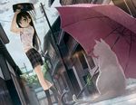  5_nenme_no_houkago animal bra cat kantoku scan see_through seifuku tagme umbrella underwear wet 