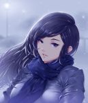  1girl absurdres black_hair blue_eyes blue_scarf blurry breasts coat depth_of_field duffel_coat expressionless gi_gi hair_blowing highres lamppost leaning_over long_hair looking_at_viewer medium_breasts original outdoors overcast parted_lips scarf shiny shiny_hair snowing solo thick_eyebrows upper_body wind winter_clothes winter_coat 
