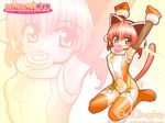  airi_cosmos animal_ears armpits bare_shoulders blue_eyes blush bodysuit boots candy cat_ears cat_tail elbow_gloves fake_animal_ears food gagraphic garter_straps gloves itokatsu lollipop mouth_hold nyan_nyan_police orange_legwear red_hair short_hair solo swirl_lollipop tail thigh_boots thighhighs wallpaper zoom_layer 