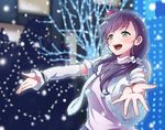  female green_eyes hat highres keita_(kta0) long_hair love_live!_school_idol_project purple_hair snow_halation solo toujou_nozomi 