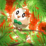  highres pokemon pokemon_(game) pokemon_sm rowlet tree tree_branch 