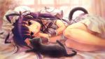  animal animal_ears cat cat_ears duplicate goto_p hazuki_(tsukuyomi) heidi highres long_hair solo tsukuyomi_moonphase 
