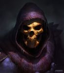  armor blue_skin bone damaged dave_rapoza fantasy head hood logo looking_at_viewer male_focus manly masters_of_the_universe md5_mismatch muscle portrait realistic skeletor skull solo watermark 