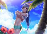  :o armpit_peek beanie blue_sky blurry blush breasts cloud cosplay cowboy_shot crossed_arms day depth_of_field flower green_shorts hat hibiscus hizuki_akira horizon long_hair looking_at_viewer medium_breasts midriff mizuki_(pokemon) mizuki_(pokemon)_(cosplay) natsume_(pokemon) navel outdoors palm_tree parted_lips plant pokemon pokemon_(game) pokemon_rgby pokemon_sm purple_hair red_eyes red_hat shiny shiny_skin shirt_lift shorts sky solo stomach tan tree tsurime underboob undressing water 