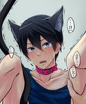  1boy cat_ears free! male_focus nanase_haruka_(free!) 