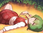  flower green_hair hituzirobo holding holding_flower kazami_yuuka knees_up looking_at_viewer lying on_back plaid plaid_skirt red_eyes short_hair skirt smile solo touhou 