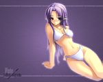  arm_support bikini braid caster fate/hollow_ataraxia fate/stay_night fate_(series) long_hair pointy_ears purple_eyes purple_hair shingo_(missing_link) solo swimsuit wallpaper 