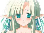  blush close elf green_hair ruruguno_janus_enfinus wiz_anniversary 