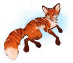  2019 canid canine digital_media_(artwork) feral fox magenta7 mammal orange_eyes pawpads paws simple_background solo striped_fox 