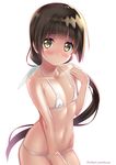  amakusa_tobari amayadori_machi bikini black_hair covered_nipples flat_chest kumamiko long_hair low_ponytail micro_bikini navel shiny shiny_skin solo swimsuit yellow_eyes 