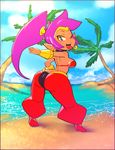  arabian_clothes ass breasts dark_skin earrings hoop_earrings keppok looking_at_viewer pointy_ears ponytail purple_hair shantae shantae_(character) solo 