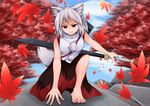  animal_ears autumn_leaves bare_shoulders barefoot highres inubashiri_momiji leaf looking_at_viewer pom_pom_(clothes) red_eyes short_hair shou_(ahiru_shinobu) silver_hair solo sword tail touhou weapon weapon_bag wolf_ears wolf_tail 