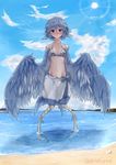  beach blue_hair blush collarbone eyebrows_visible_through_hair feathers female full_body hair_between_eyes harpy head_feathers monster_girl navel original outdoors partially_submerged rnd.jpg solo twitter_username water wings 