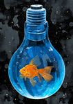  animal black_background bubble fish fish_tank goldfish light_bulb no_humans nomiya_(no_38) original water 