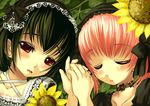  askray duplicate goth-loli sunflower tagme 