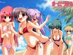  bikini boy_meets_girl shintaro swimsuit tagme 