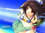  animal_ears beach bikini blue_bikini bottle breast_press breasts c.c._lemon copyright_request day dog_ears green_sarong iizuki_tasuku medium_breasts outdoors pocari_sweat rhyme sarong solo swimsuit wallpaper 