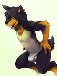 2016 anthro balls black_fur black_nose blue_eyes brown_fur bulge canine chest_tuft clothed clothing crossdressing digital_media_(artwork) dog flaccid fur hair_tuft hand_on_hip looking_away male mammal multicolored_fur navel open_mouth orange_fur panties panty_pull pecs penis simple_background solo teeth tongue tongue_out topless tuft underwear vu06 white_background white_fur 