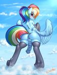  2016 animal_genitalia animal_penis anus blush butt clothing cloud cloudscape day dock elbow_gloves elzzombie equine equine_penis feathered_wings feathers friendship_is_magic gloves hair herm hi_res intersex legwear mammal multicolored_hair my_little_pony outside pegasus penis pussy rainbow_dash_(mlp) rainbow_hair semi-anthro sky solo thigh_highs wings 