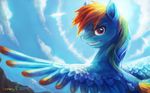  2014 blue_feathers blue_fur equine feathered_wings feathers female friendship_is_magic fur hair looking_at_viewer looking_back mammal multicolored_hair my_little_pony outside pegasus pink_eyes rainbow_dash_(mlp) rainbow_hair rainbow_text sky smile solo sun teeth turnipberry wings 