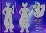  anthro canine looking_at_viewer male mammal model_sheet nude singingbirdstudio solo wolf 