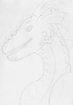  dragon headshot_portrait hexdragon portrait scalie simple_background solo 