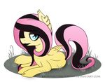  2016 black_hair black_lipstick blue_eyes browniecomicwriter equine female feral fluffy fluttershy_(mlp) friendship_is_magic fur goth green_eyes hair horse inner_ear_fluff lipstick looking_at_viewer makeup mammal multicolored_hair my_little_pony pegasus pink_hair pony signature solo two_tone_hair watermark wings yellow_fur 