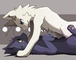  2013 blue_eyes blush cat duo feline feral mammal rokh_(artist) yellow_eyes 