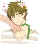  animal_ears blush brown_hair cat_ears chin_tickle choker free! funikurikurara green_eyes heart male_focus open_mouth solo_focus tachibana_makoto 