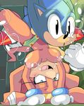 anthro big_breasts blue_eyes blush breasts clothed clothing cloudz duo echidna female hedgehog male male/female mammal monotreme nipples penetration sex sonic_(series) sonic_the_hedgehog spread_legs spreading tikal_the_echidna topless underwater water 