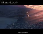  5_centimeters_per_second backlighting brown_hair cloud copyright_name flipped_hair flower grass letterboxed on_ground outdoors profile shade shinkai_makoto short_hair short_sleeves sitting sky solo sumita_kanae wallpaper water wetsuit 