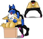  anal anal_penetration anthro anus balls bat big_breasts breasts butt canine clothing duo female huge_breasts lucario male male/female mammal nintendo nude nukenugget open_mouth penetration penis pok&eacute;mon pussy red_eyes rouge_the_bat sex simple_background sonic_(series) video_games 