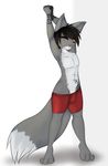  2016 boxers_(clothing) canine clothing hands_behind_head looking_at_viewer male mammal neronova open_mouth stretching tattoo underwear wolf yawn 