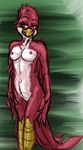  2016 anthro avian avian_(starbound) beak bird blush breasts brown_eyes crossgender digital_media_(artwork) feathers female maladash nipples nude red_feathers simple_background smile solo starbound talons tatsuchan18 video_games white_feathers 