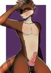  anthro balls erection knot looking_at_viewer male mammal naomy nude one_eye_closed penis raccoon simple_background smile solo striped_tail 