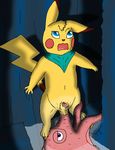 anatomically_correct animal_genitalia animal_penis ball_suck balls cock_and_ball_torture feral fur male nintendo octillery oral penis pikachu pok&eacute;mon pok&eacute;mon_mystery_dungeon predicament roseee_(artist) scarf sex sheath sucking unsure video_games water 