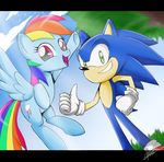  anthro blue_feathers crossover cutie_mark duo equine feathered_wings feathers female feral friendship_is_magic fur hair hedgehog horse male mammal multicolored_hair my_little_pony pegasus pony rainbow_dash_(mlp) rainbow_hair sonic_(series) sonic_the_hedgehog the-butcher-x wings 