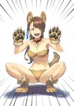  animal_ears bare_shoulders beatrix_(granblue_fantasy) bikini breasts brown_eyes brown_hair claws collar dog_collar dog_ears dog_paws dog_tail fang gloves granblue_fantasy hair_ornament long_hair looking_at_viewer medium_breasts navel open_mouth paw_gloves paw_shoes paws ponytail shimotsuki_eight shoes signature solo spiked_collar spikes spread_legs squatting swimsuit tail 