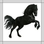  2013 alpha_channel ambiguous_gender black_eyes black_fur border digital_media_(artwork) draft_horse equine feral friesian fur hooves horse mammal mane quadruped rufciu simple_background solo transparent_background 