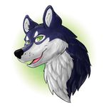  absurd_res blue_fur canine fur green_eyes headshot hi_res jack kisaofthesnow male mammal solo white_fur wolf 