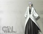  bleach ichimaru_gin tagme 